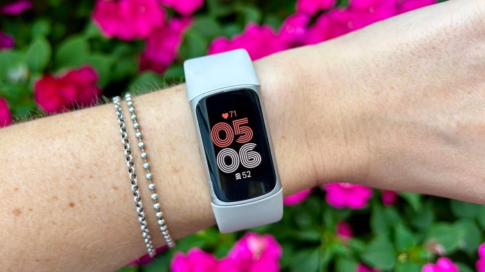 How to Change Your Fitbit Profile to Reflect Your Fitness Goals