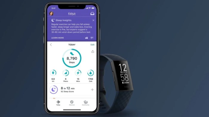 Fitbit Fitbit
