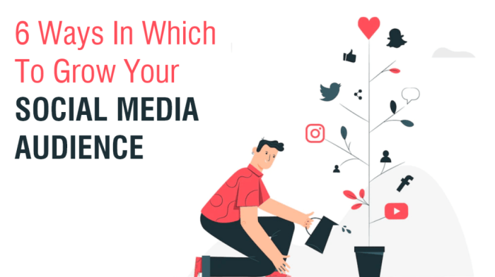 How to Change Your Social Media Strategy to Reach a Wider Audience