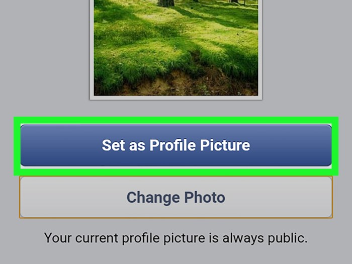 How to Change Your Facebook Profile Picture in 3 Easy Steps