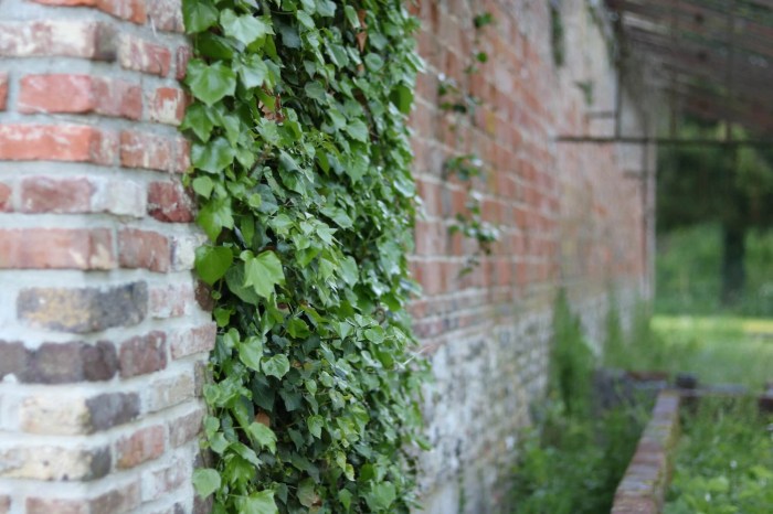 Theme customizer newsagent blog Theme customizer newsagent blog