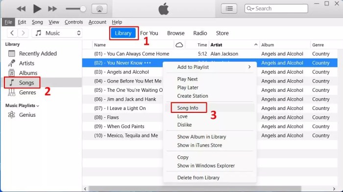 How to Change Your Music Settings to Enjoy Your Favorite Tunes